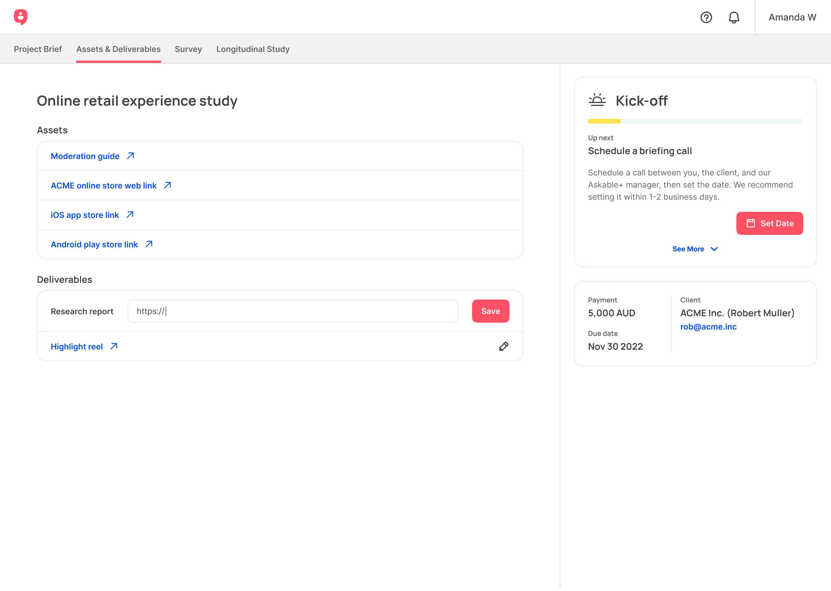 Researcher view of the project workspace and deliverable submission actions
